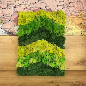 Custom Made Moss ,Preserved Stabilized Moss,Wall Decor Moss Wall Art ,Preserved Moss Framed , Moss Wall Decor ,Several Shades of Green Moss