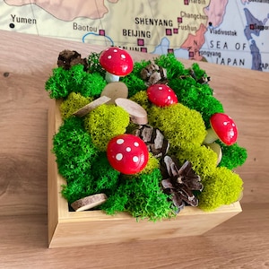 Enchanted Forest Wedding Table Decor - Preserved Moss Centerpiece with Amanita Mushrooms, Fairycore Moss Art for Cottagecore Homes