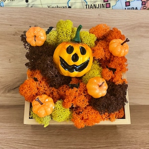 Rustic Halloween Centerpiece, Farmhouse Entryway Decor, Nature Inpired Boxed Side Table Decorations Preserved Moss and Halloween Pumpkins