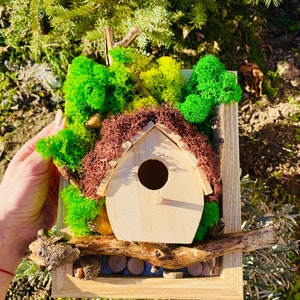 Bird House Preserved Moss , Custom Made Moss and Pine Wood Wall Art, Metal Frame Moss Wall Decor, Pine Wood and Moss Wall Art Preserved Moss