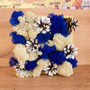 Winter Table Decor - Preserved Moss and Pinecones Side Table Centerpiece in a Box, Nature Inspired Entryway Decor for Small Apartments