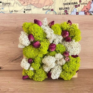 Elegant Coffee Table Decor - Moss and Roses Centerpiece, Dried Flower Arrangement, 50th Birthday Table Toppers, Couple Anniversary Gifts