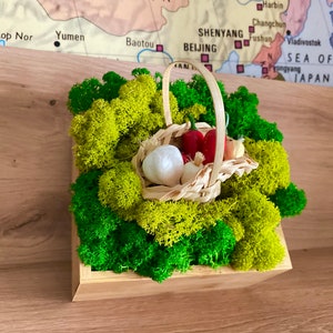 Harvest Table Decor - Farmhouse Centerpiece with Preserved Moss and Produce, Kitchy Rustic Kitchen Table Decorations, Eco Friendly