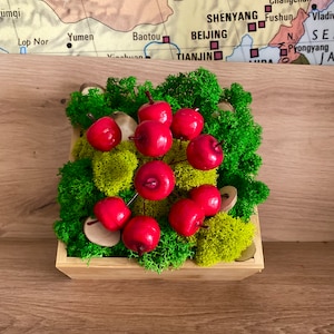 Candied Apples Preserved Moss Centerpiece in a Box, Fall Fruit Dining Table Decor, Raindeer Moss Bowl, Indoor Garden Decorations