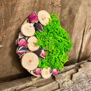 Mini magnete di ispirazione nordica/rose, muschio/magnete da frigorifero decori scandinavi/magnete minimalista e decorazioni per la casa/regalo per gli amanti delle piante/muschio da parete/