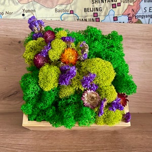 Dried Flowers and Preserved Moss Romantic Table Decor - Dining or Side Table Boxed Centerpiece, Housewarming Gifts, Raindeer Moss Art