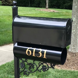 May include: A black mailbox with a matching post. The mailbox has a classic design with a curved top and a lower section with the address number 6131 in gold. Decorative grape vine accents adorn the lower section.