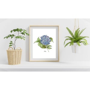 Hydrangea Flower Watercolor Print - wild flower art - watercolor art print - wildflower art print - hydrangea flower art - blue flower