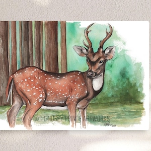 Deer Watercolor Art Print | Woodland Animal Wall Decor | Rustic Forest Illustration | Nature Lover Gift | Cabin or Nursery Artwork