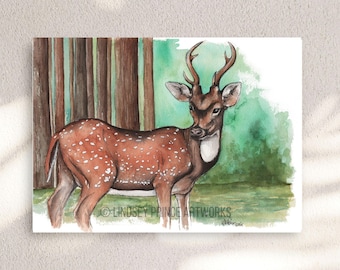 Deer Watercolor Art Print: Rustic Woodland Nursery Decor