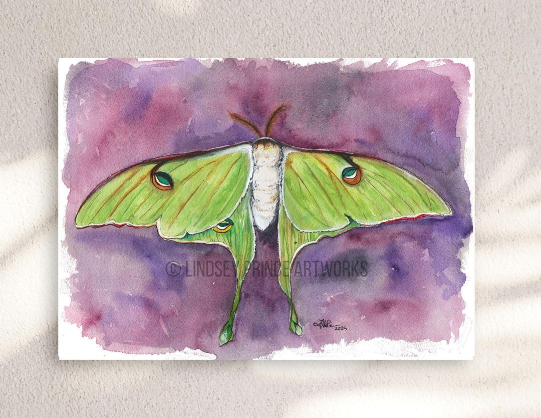 Luna Moth Watercolor Art Print: Mystical Woodland Wall Decor - Etsy