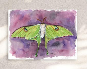 Impression d'art aquarelle Luna Moth : décoration murale forêt mystique