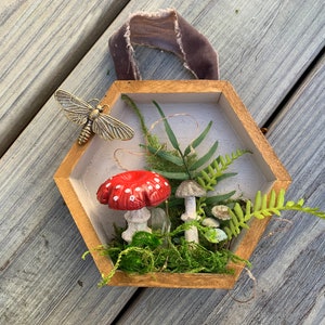 Cottagecore Room Decor. Mushroom Decor. Home Wall Art Vintage Rustic Whimsical. Miniature Mushrooms. Garden mushrooms. Christmas gift.