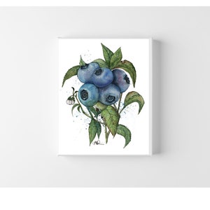 Heidelbeeren Aquarellmalerei, Aquarellzeichnung, Heidelbeerstrauch, Heidelbeerstrauch, Aquarell, Heidelbeerstrauch, Kunstdruck, Heidelbeerstrauch