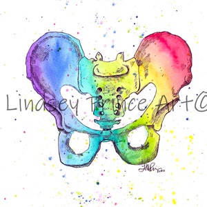 Skeletal Series: Pelvis, pelvis art print, pelvic art, obstetrician art, female health art, cervical art