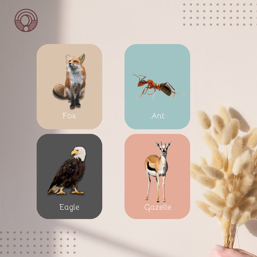 JUNGLE ANIMALS real Pictures 22 Montessori Cards Flash Cards ...