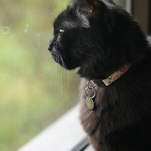 May include: A black cat wearing a floral collar with a tag, gazing out a window. The cat's fur is sleek and dark, contrasting with the blurred green background. The collar features a delicate floral pattern.