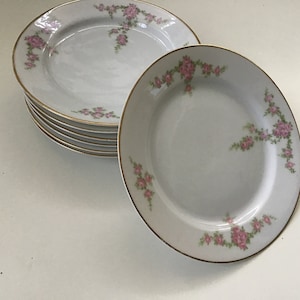 Dish Lot: Antique H&C Selb Bavaria “Rosalinda” Dessert Plates