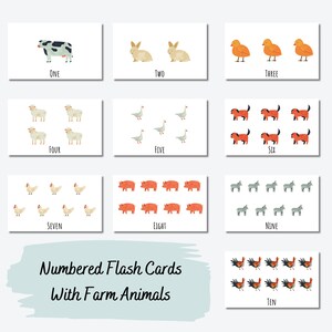 Tarjetas numéricas / Tarjetas educativas / Aprendizaje agrícola / Tarjetas didácticas para niños / Tarjetas didácticas sensoriales para bebés / Tarjetas didácticas para bebés / Tarjetas didácticas para niños pequeños