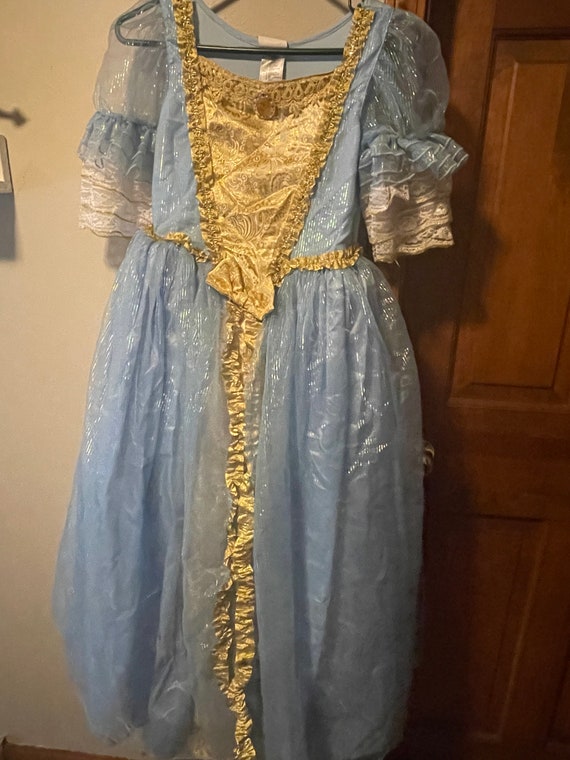 Disney Cinderella Costume