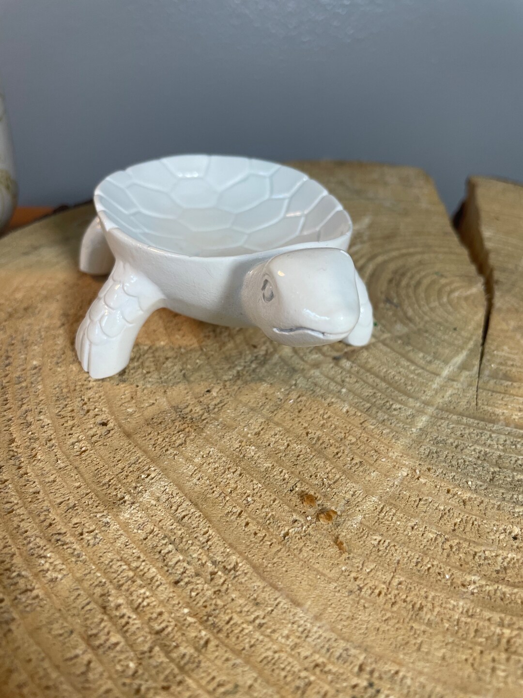 Sea Turtle Shell Bowl Etsy