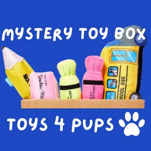 Mystery dog toy box~ Assorted dog toys- Spoil your pup with a toy box for Christmas! |Toys 4 Pups