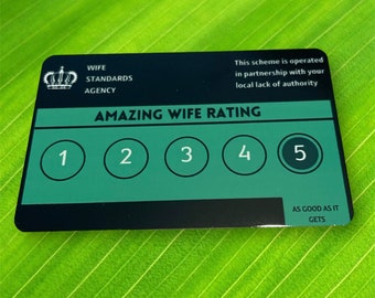 Amazing Wife, Standards Agency Style, Funny, Wallet Insert, Rude Gifts, Business Card, Luxury Cards, Insulting Gifts