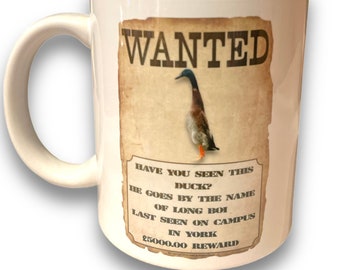 Long Boi Mallard Wanted Missing Indian Runner Duck University of York Campus Resident Animal Lovers Find Long Boi Novelty Mug