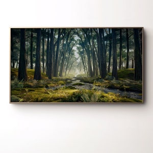 Puede incluir: Una fotografía de un sendero en el bosque con un arroyo que lo atraviesa. Los árboles son altos y oscuros, y la luz es tenue. El sendero está cubierto de musgo y helechos.