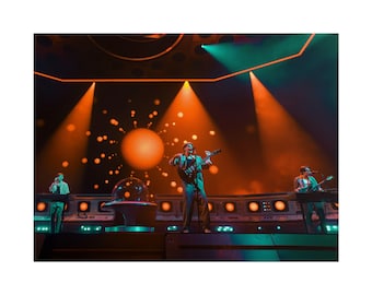 Glass Animals stage photo Rolled Poster | Live concert print