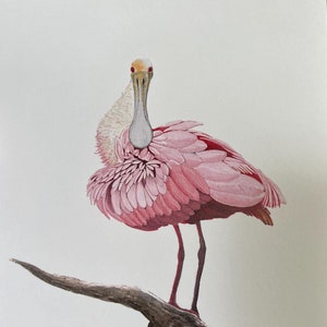 Wenskaart, notitiekaart, roze lepelaar, blanco binnenkant, set van 10