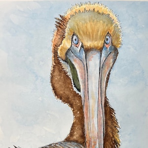 Stampe Giclée di acquerelli originali di pellicano bruno "Pelle Pelican"