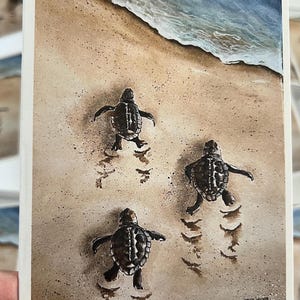 Wenskaart, notitiekaart, babyschildpadden, blanco binnenkant, set van 10