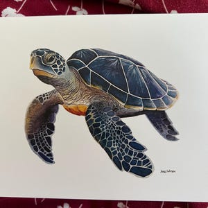 Wenskaart, notitiekaart, schildpad, blauw, houding, blanco binnenkant, set van 10
