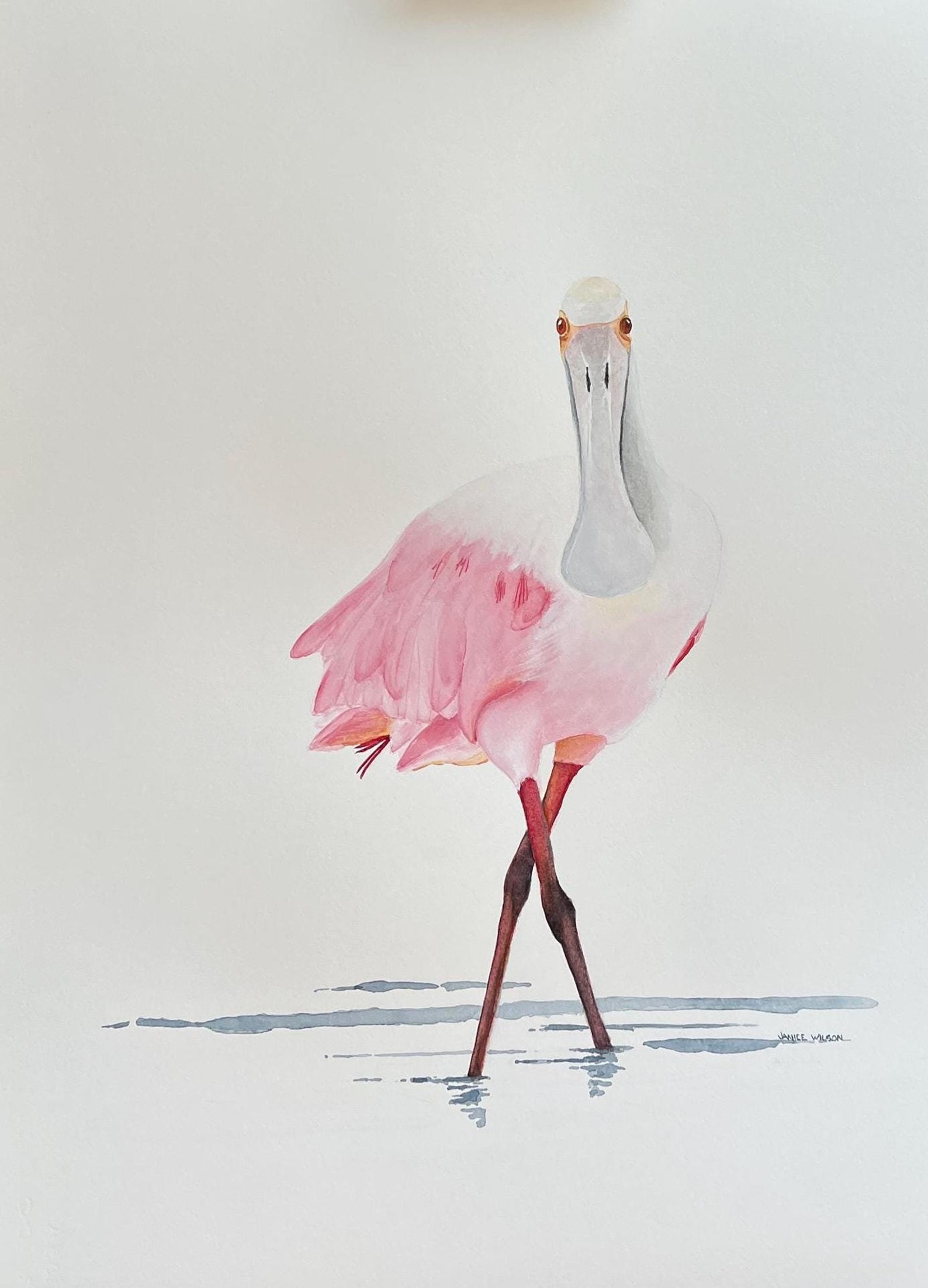 Rosie the Roseate Spoonbill, Original Fine Art Watercolor Painting, 32 ...