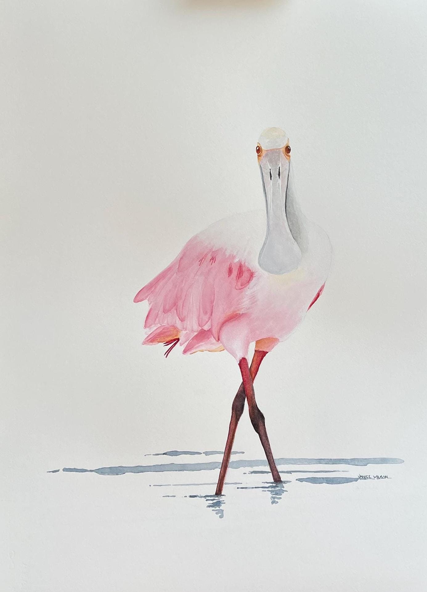Rosie the Roseate Spoonbill, Original Fine Art Watercolor Painting, 32 ...