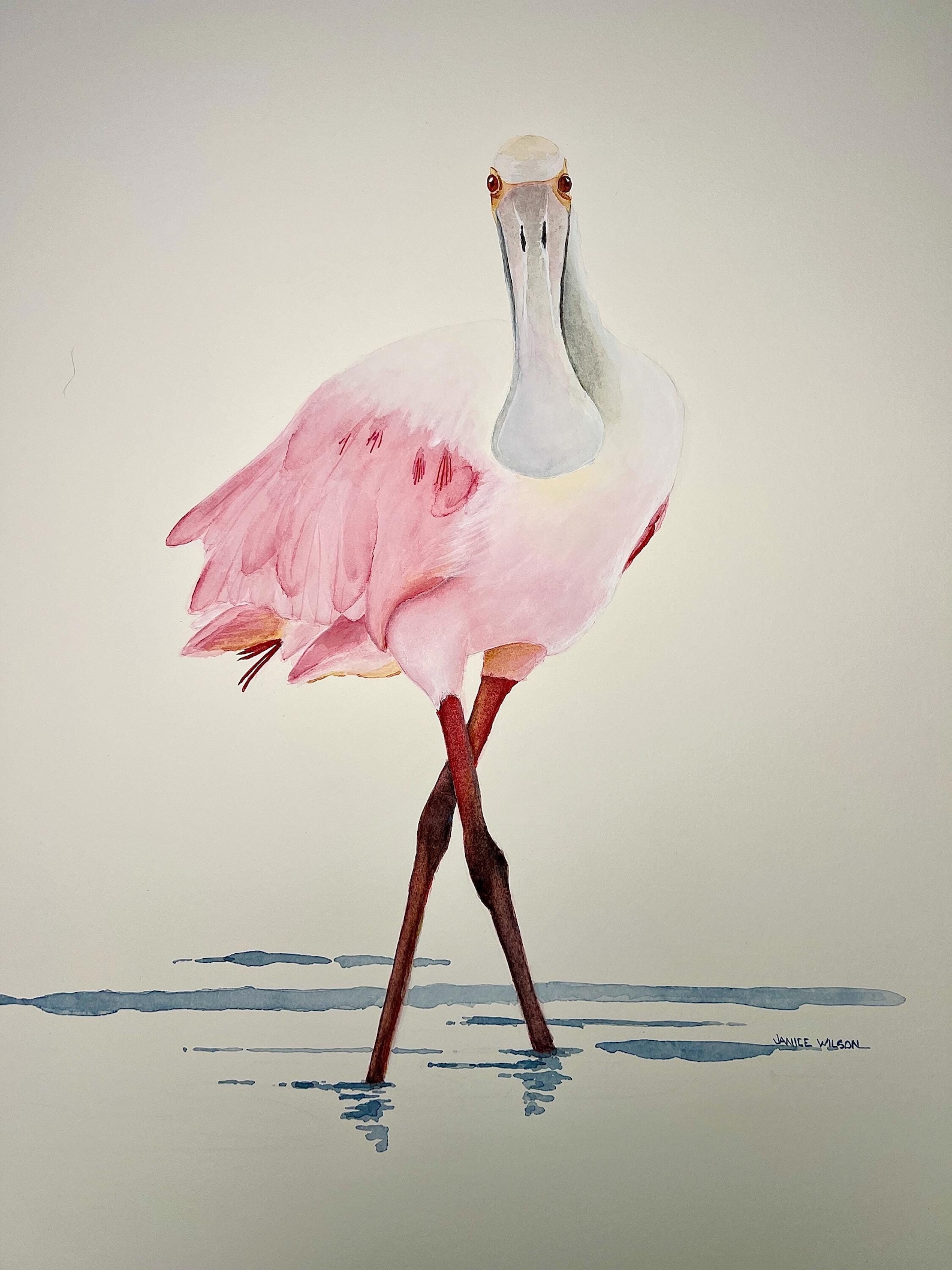 Rosie the Roseate Spoonbill, Original Fine Art Watercolor Painting, 32 ...