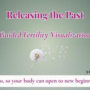 Liberarsi dal passato / Meditazione guidata sulla fertilità in formato PDF / Liberazione emotiva per TTC, fecondazione in vitro, guarigione dell'utero / Download digitale