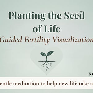 Planting the Seed of Life | Guided Fertility Visualization PDF | TTC Mindset & Womb Connection | Printable Meditation Script