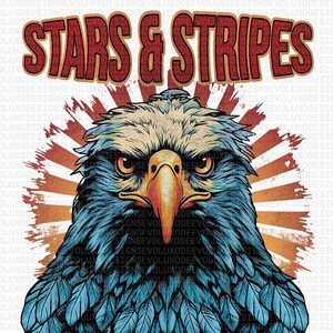 Eagle USA PNG • Freedom Art