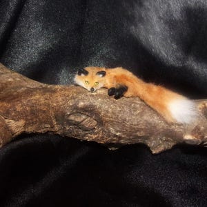 May include: A miniature fox figurine with orange fur, black paws, and a white-tipped tail rests on a brown wooden branch. The fox has yellow eyes and black accents on its ears. The background is a dark, textured fabric.