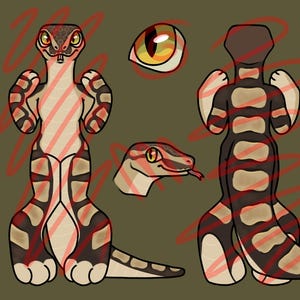 May include: A digital character reference sheet featuring a bipedal creature with snake-like features, brown and tan striped markings, and a long tail. The illustration includes a front view, a back view, a side profile of the head, an eye detail, and a color palette bar. The text Spider Soup is visible in the bottom right corner.