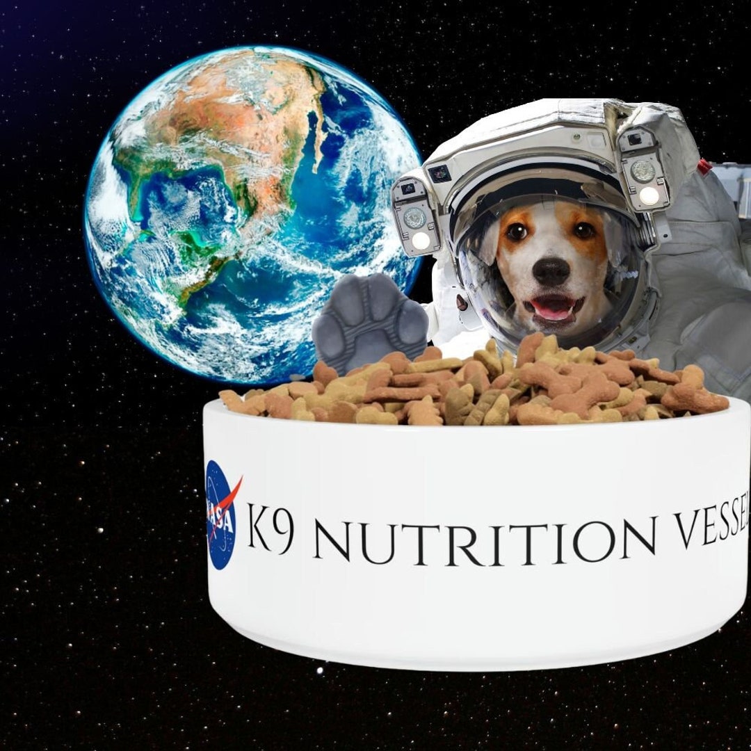 K9 nutrition cheap