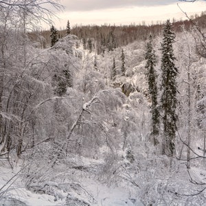 Alaska landscape 2023