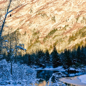 Alaska landscape 2022