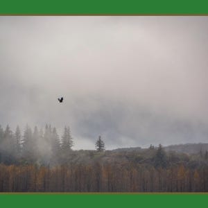 Alaska Landscape 2023