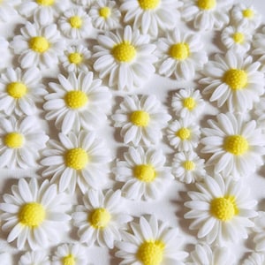 Fondant Daisy Dekoration 45 Stk. Kuchen dekorieren