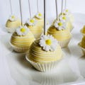 Daisy Margarita Cake pops Babyshower Birthday Events First baby birthday Wedding Candy bar