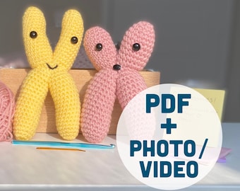 VIDEO TUTORIALS - Cute & Customizable Crochet Chromosome Pattern Amigurumi, PDF + Photos + Videos, Biology Science Teacher/Student Crafts