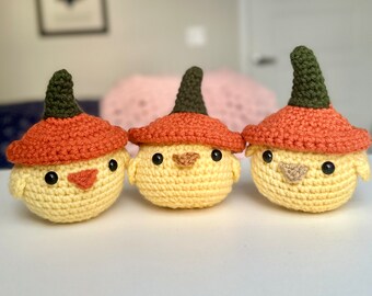 Crochet Pumpkin Hat Chick/Duck Plushie, Cute Crochet Animals, Autumn/Fall Baby Chick Amigurumi